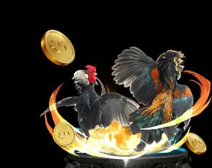 Công bằng và minh bạch